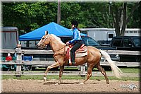 4H-Fun-Show-2006-0371.jpg