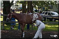 4H-Prod-Show-2006-0018.jpg