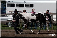 4H-Prod-Show-2006-0147.jpg