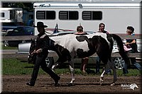 4H-Prod-Show-2006-0148.jpg