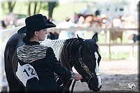 4H-Prod-Show-2006-0155.jpg