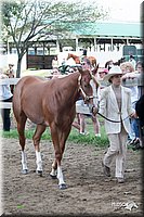 4H-Prod-Show-2006-0161.jpg