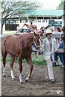 4H-Prod-Show-2006-0162.jpg