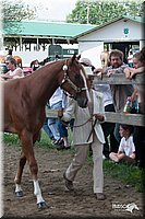 4H-Prod-Show-2006-0163.jpg