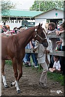 4H-Prod-Show-2006-0164.jpg