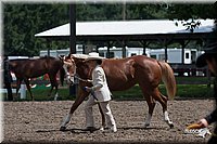 4H-Prod-Show-2006-0165.jpg