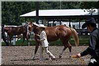 4H-Prod-Show-2006-0166.jpg