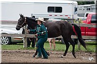 4H-Prod-Show-2006-0167.jpg