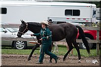 4H-Prod-Show-2006-0168.jpg