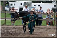 4H-Prod-Show-2006-0171.jpg