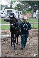 4H-Prod-Show-2006-0177.jpg