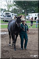 4H-Prod-Show-2006-0178.jpg