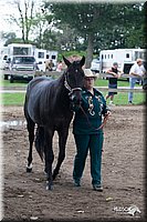 4H-Prod-Show-2006-0179.jpg