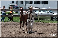 4H-Prod-Show-2006-0195.jpg