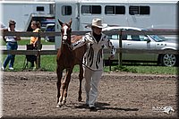 4H-Prod-Show-2006-0196.jpg