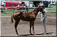 4H-Prod-Show-2006-0205.jpg