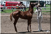 4H-Prod-Show-2006-0206.jpg