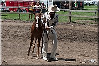 4H-Prod-Show-2006-0217.jpg