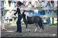 4H-Prod-Show-2006-0061.jpg