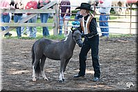 4H-Prod-Show-2006-0076.jpg