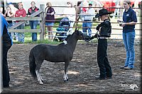 4H-Prod-Show-2006-0078.jpg