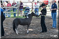 4H-Prod-Show-2006-0079.jpg