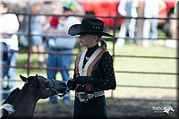 4H-Prod-Show-2006-0080.jpg