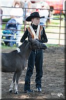 4H-Prod-Show-2006-0086.jpg