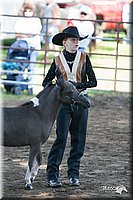 4H-Prod-Show-2006-0087.jpg