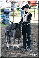 4H-Prod-Show-2006-0090.jpg