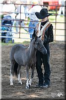 4H-Prod-Show-2006-0096.jpg