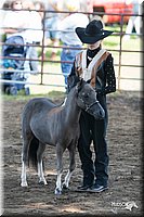 4H-Prod-Show-2006-0097.jpg