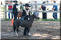 4H-Prod-Show-2006-0103.jpg