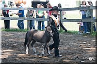 4H-Prod-Show-2006-0104.jpg