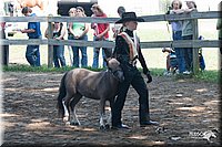 4H-Prod-Show-2006-0105.jpg