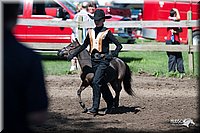 4H-Prod-Show-2006-0108.jpg