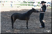 4H-Prod-Show-2006-0109.jpg