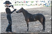 4H-Prod-Show-2006-0113.jpg