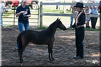 4H-Prod-Show-2006-0121.jpg