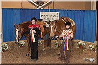 4H-State-06_059-2.jpg