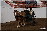 4H-State-06_234.jpg