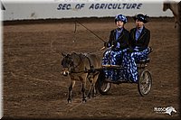 4H-State-06_281.jpg