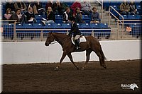 4H-State-06_833.jpg