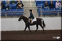 4H-State-06_873.jpg