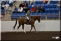 4H-State-06_937.jpg