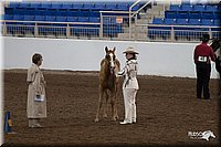 4H-State-06_107.jpg