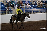 4H-State-06_1273.jpg