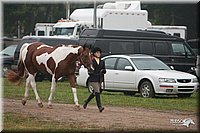 4H-Dist-07-0836.jpg