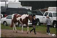 4H-Dist-07-0837.jpg