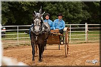 4H-Dist-07-0567.jpg